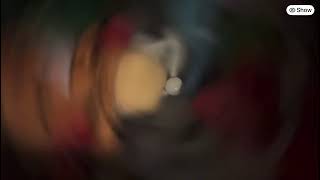 Bfdi plushies spin, turtle interactive 