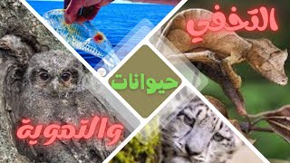 اغرب الحيوانات القادرة علي التخفي والتمويه