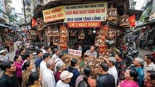 Chào Mào Bạch Tạng Giảm Giá Sốc Tại Hà Nội - Đông Đảo Anh Em Xếp Hàng Săn Chim Đẹp | Kênh Em Dung