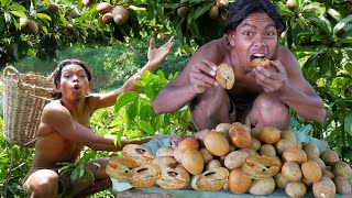 Found Fresh Sapodilla Fruit for Food in the Forest! With Survival Skills2
