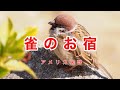 雀のお宿｜歌詞付き｜アメリカ民謡｜すずめ すずめ お宿はどこだ