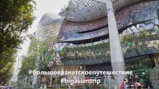 3-й день. Малайзия. Куала - Лумпур. Пещеры Бату, башни Петронас своим ходом. 3-й день. Малайзия. Куала - Лумпур. Пещеры Бату, башни Петронас своим ходом.