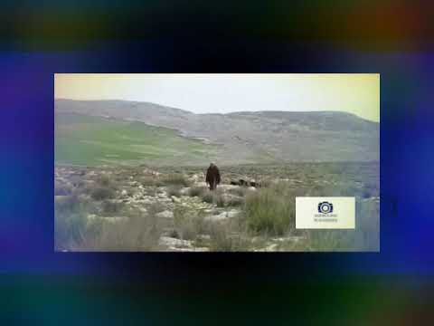 افضل قصة كافية تاريخية واقعية لفرحات ولد الكاهية صالح منذر جبابلي