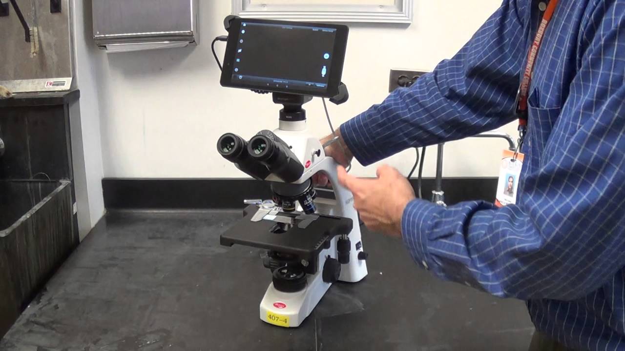 Introduction to microscope - YouTube