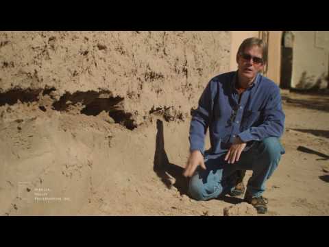 زمین کے نمکیات: نمک کے حملے کی شناخت (8 ویڈیوز میں سے 2)