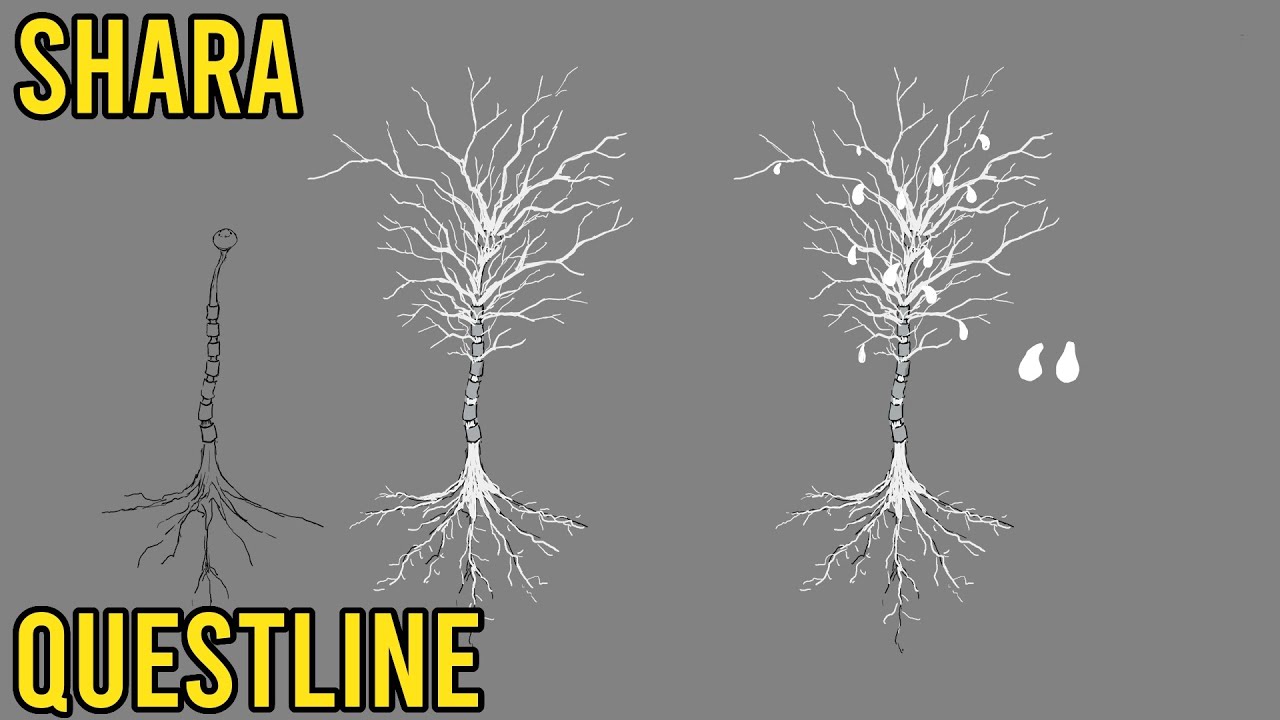 [Dolls Nest] Shara, the Talking Tree Questline - YouTube