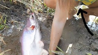 Amazing Girl Compound Fishing - Khmer Fishing To  catch  Fish -   How To Catch Fish By Hand part 2