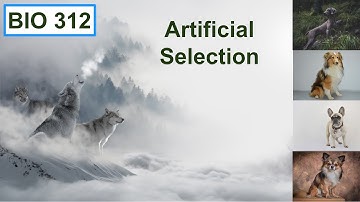 Artificial selection as evidence for evolutionary biology