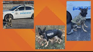 SLMPD dogs get protective vests