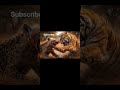 #tiger #Hyena #Fight #Jungle #wildlife #Battle #shorts #viral