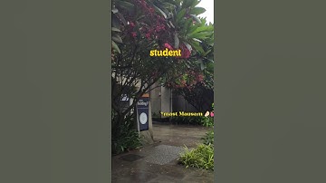 Library WiFi ne kiya Dhoka 😭💻 | IIT Mini Vlog ✨ Rain + Study 🌸#shortsfeed #iitb #iitgn #minivlog