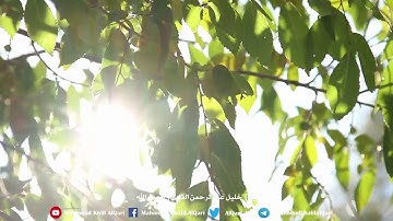 سورة الإنسان تلاوة حجازية بديعه | الشيخ خليل عبدالرحمن القارئ رحمه الله