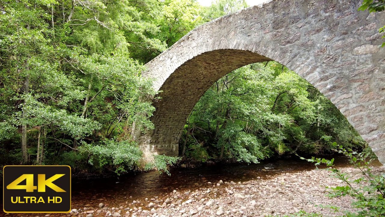 Glen Tanar pinewoods Walk, Aboyne, Scottish Countryside | Binaural ASMR Sound, 4K  [short preview]