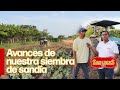 Siembra de sandía, segunda parte | Granja San Lucas