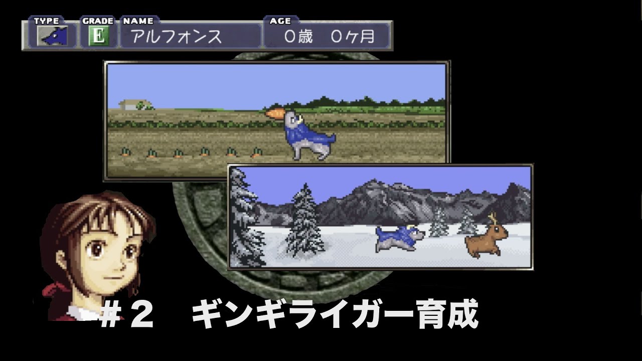 Part１ モンスターファーム 幼少期をほぼmf2に捧げた 28歳男の円盤石のかけら Youtube