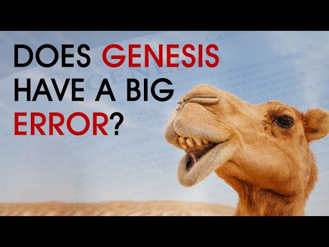 Camels: Biblical Archaeology
