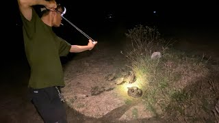 How to find food at night using a 180 degree slingshot screenshot 2