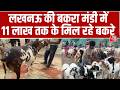 Bakra Eid 2206: मंडियों में बकरीद की रौनक, 11 लाख तक के बकरे बने आकर्षण | Expensive Goat India