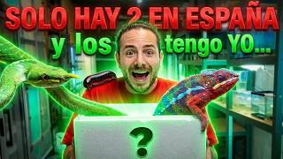 EL UNBOXING mas BESTIA! SOLO HAY 2 EN ESPAÑA... ¡Y +20 ESPECIES NUEVAS! 📦🔥