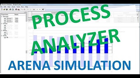 Process analyzer Arena Simuation