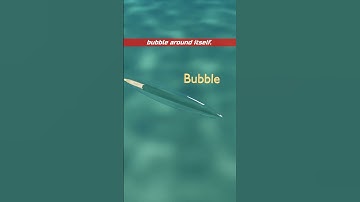 Supercavitating Torpedo