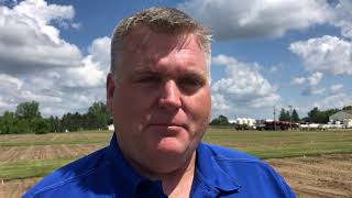 Famous 4 ways to evaluate your corn plant stand Wealth