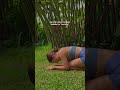 sometimes you just gotta lay in the grass 🌱🌎 #nature