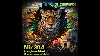 Mix 30.4 (Jungle ambient &amp; Experimental Dub)