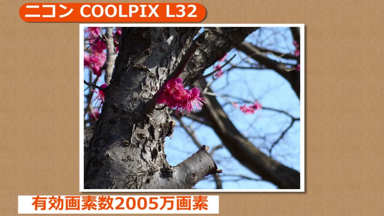 Coolpix L32