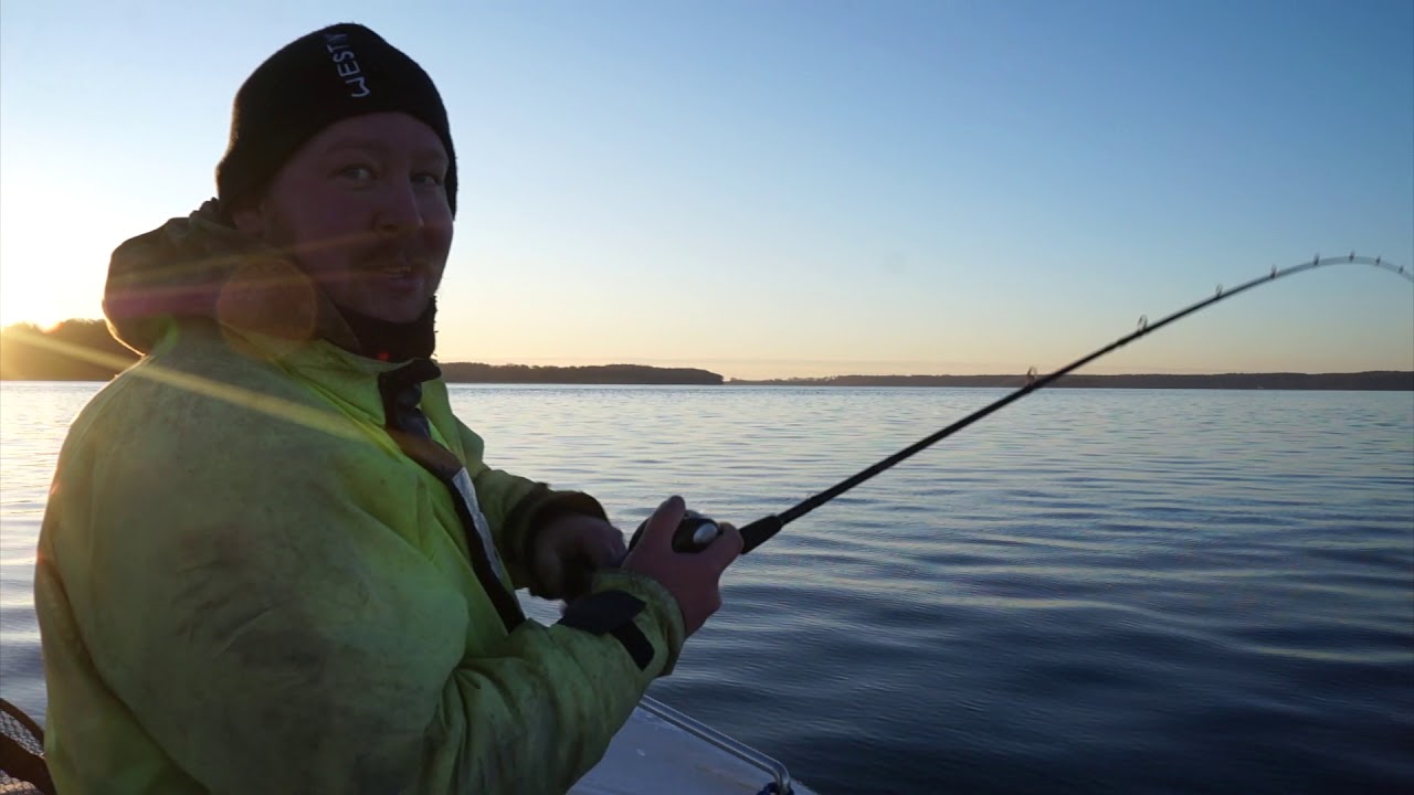 Torsketur 1 på Lillebælt Januar 2018