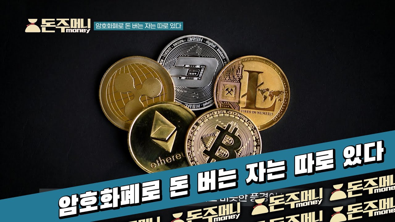 암호화폐 돈 버는 자는 따로 있다 | 돈주머니 money