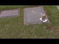 Eddie Cochran's Final Resting Place