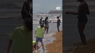 Recovery search underway for child swept away by wave at Surfside Beach, police say