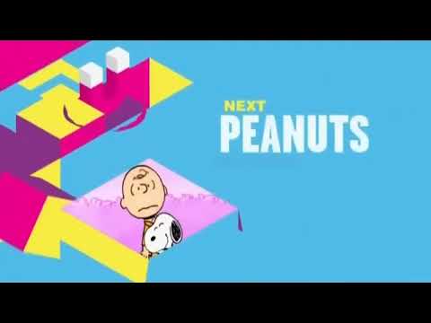 Boomerang USA Next Bumpers 2015