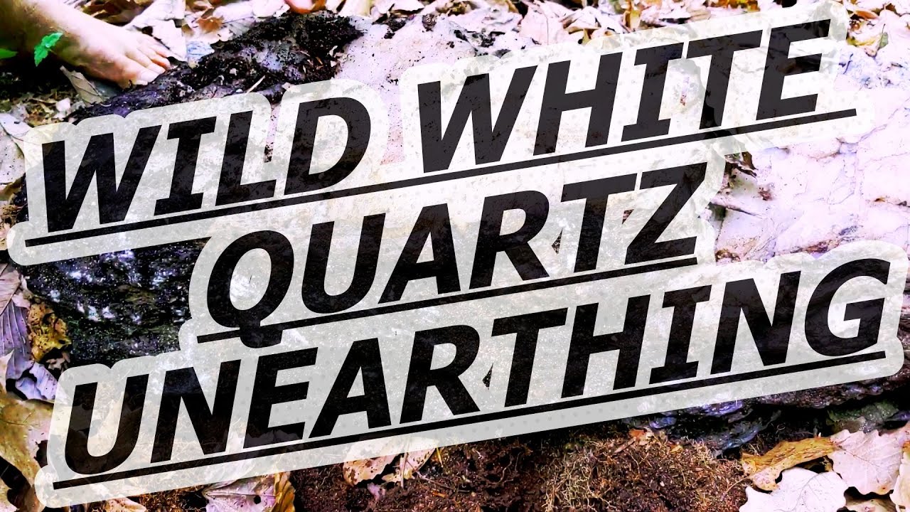 Unearthing Massive White Quartz Rock | Brandywine Boys