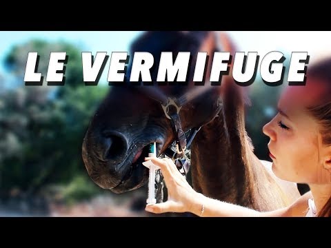 LES PARASITES DIGESTIFS - Combattre les vers de vôtre cheval : vermifuge mais pas que ...