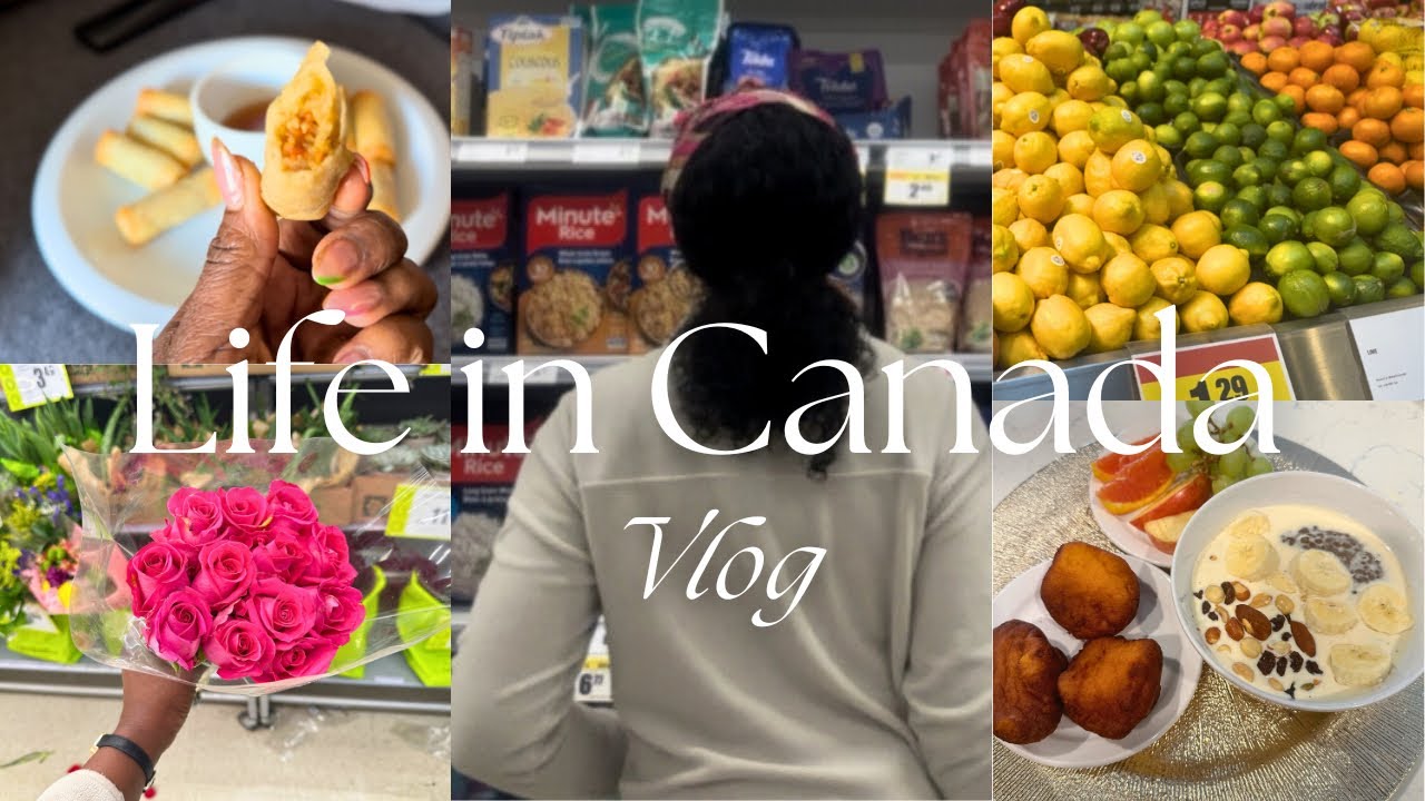 Days in my life in Canada  | Homebody diaries Entry #1 | Grocery shopping, cooking