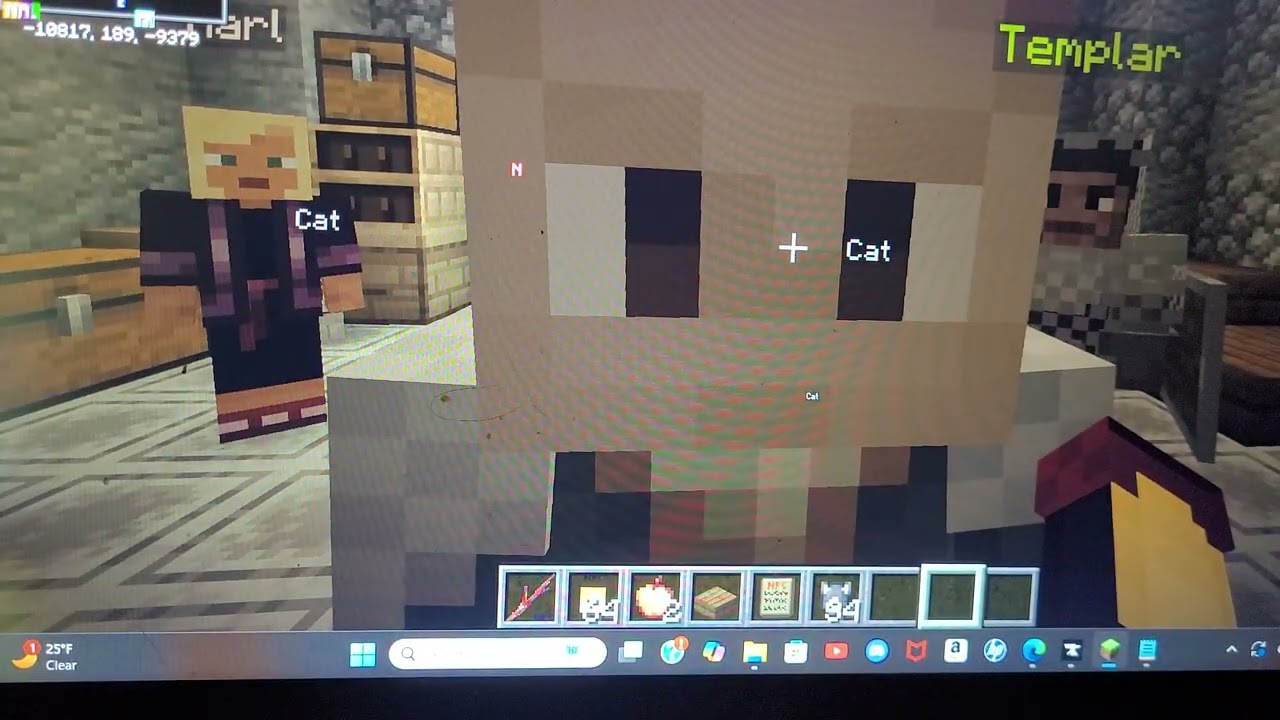 Easy npc mod, sorry I'm poor so it's trashy..lol