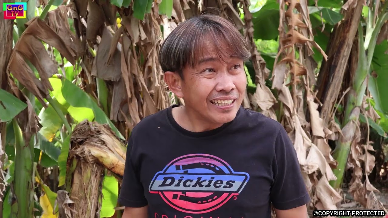 Kahit Kailan, Hindi Itatanggi