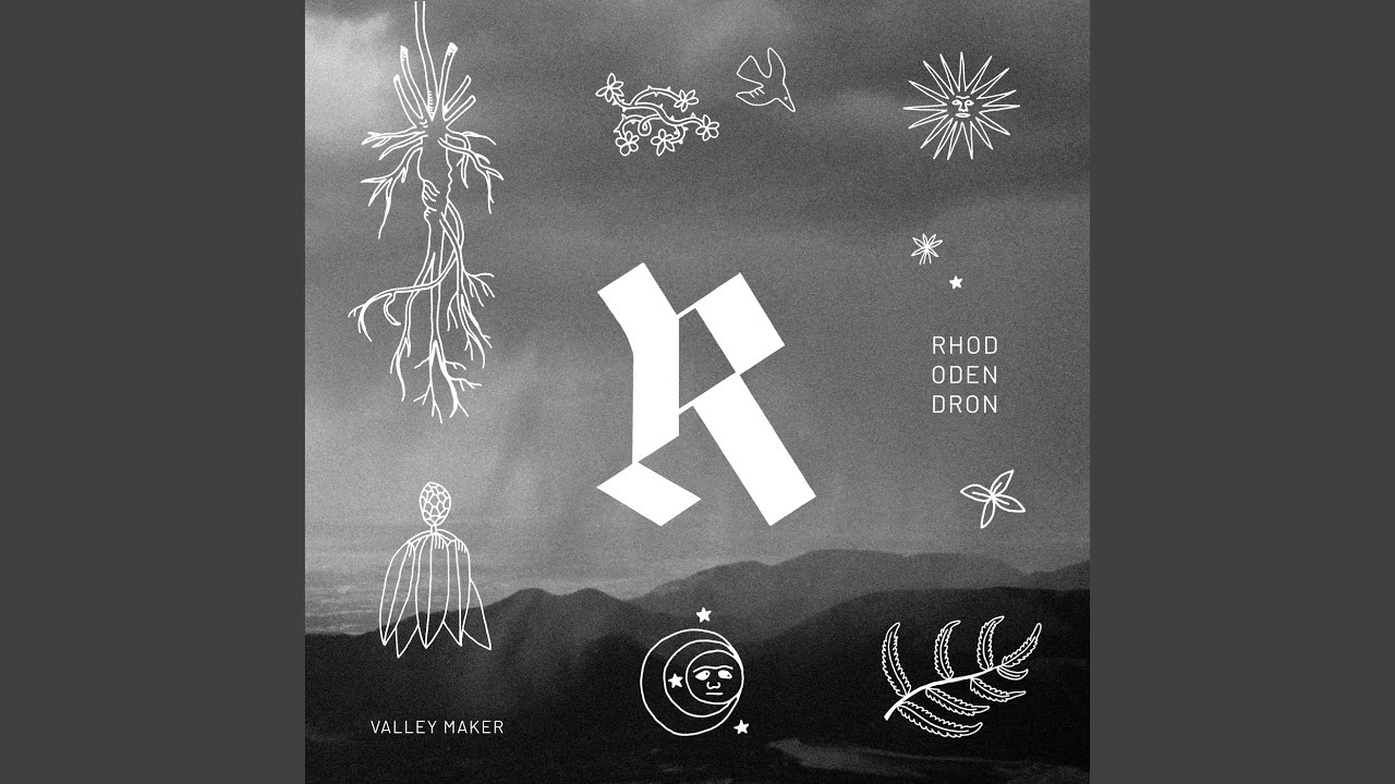 Beautiful Birds Flying