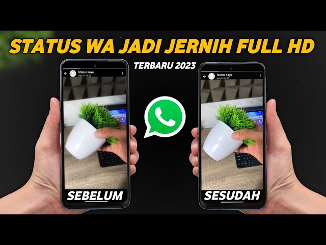 Cara Terbaru Buat Status WhatsApp Jadi Jernih Dan HD Yang Lagi Ramai!🔥 - Status WA Full HD class=