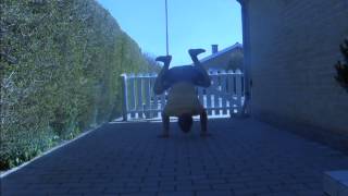 Alternative training (Freerunning/Calisthenics)