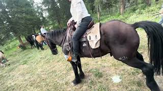 Trail ride and dinner at the Heart six ranch