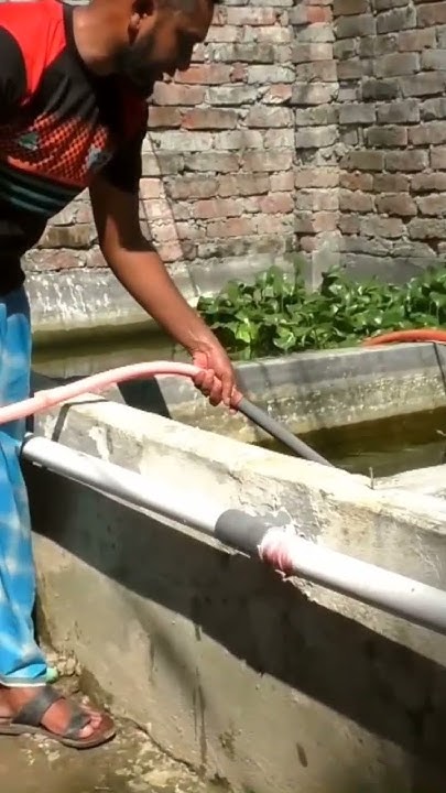 ornamental-fish-farming-at-home-part-4-how-to-start-aquarium-fish