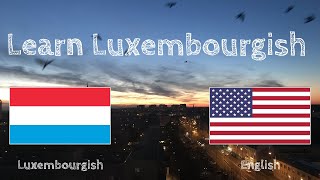 Learn before Sleeping - Luxembourgish (native speaker)  - without music screenshot 2