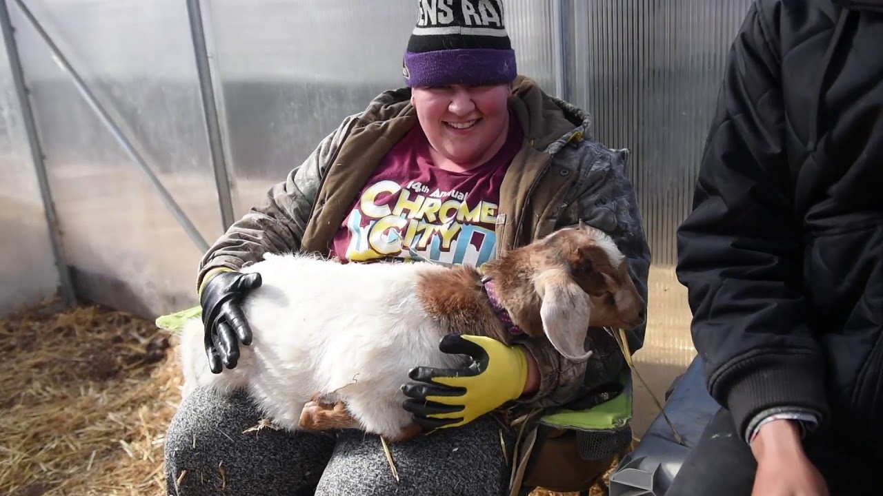 Langton Green Community Farm YouTube