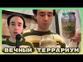 Я сделал вечный террариум