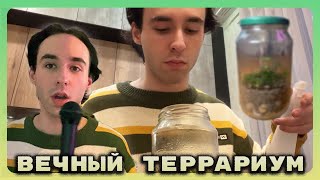 Я сделал вечный террариум