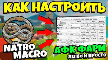 КАК ПРАВИЛЬНО НАСТРОИТЬ ЛУЧШИЙ МАКРОС В СИМУЛЯТОРЕ ПЧЕЛОВОДА!🐝 Natro Macro in Bee Swarm Simulator