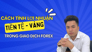 $ Hướng dẫn tính tiền trong giao dịch forex ,vàng ,tiền tệ !